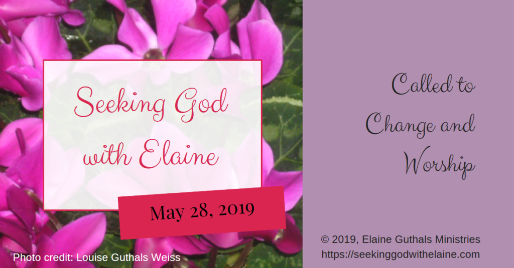 Flowers with title Called to Change and Worship