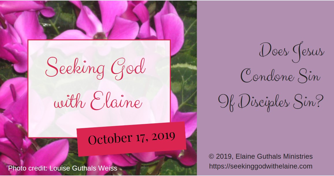 Does Jesus Condone Sin If Disciples Sin? - Seeking God with Elaine