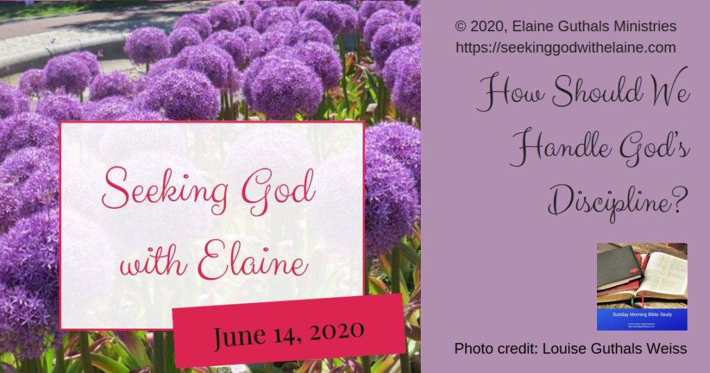 Flowes with title How Should We Handle God's Discipline?