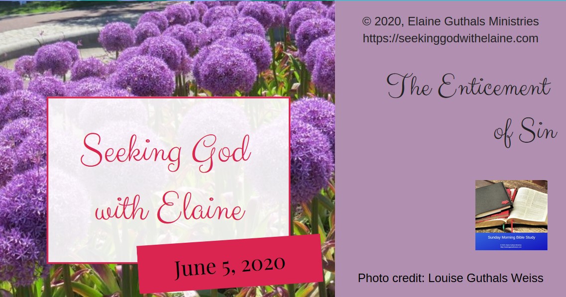 The Enticement of Sin - Seeking God with Elaine