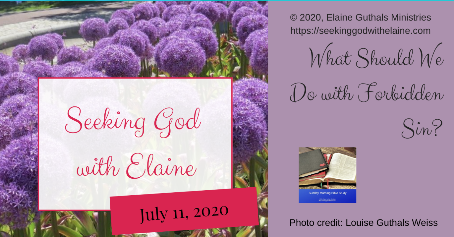 what-should-we-do-with-forbidden-sin-seeking-god-with-elaine