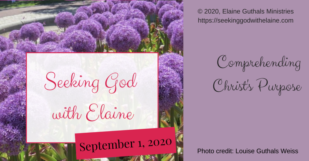 Flowers with title Comprehending Christ's Purpose