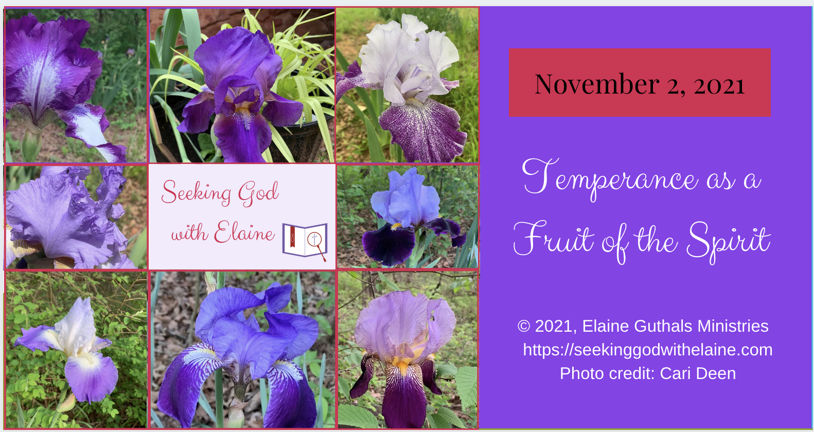 Temperance as a Fruit of the Spirit Seeking God with Elaine