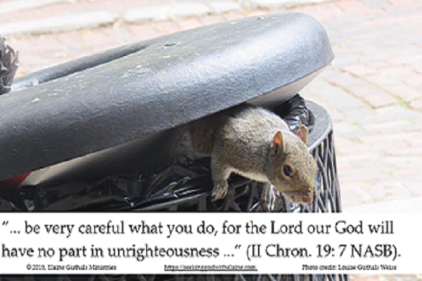 Squirrel in trash bin