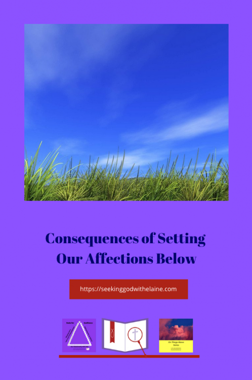 ConsequencesOfSettingOurAffectionsBelowPin