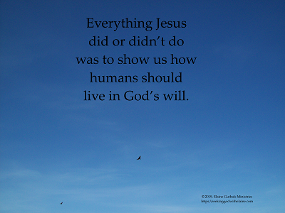 Everything Jesus did or didn’t do was to show us how humans should live in God’s will.