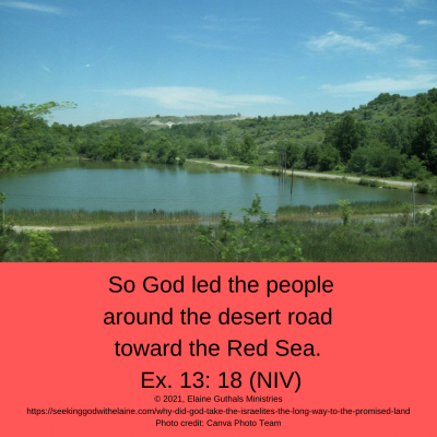 So God led the people around the desert road  toward the Red Sea. Ex. 13: 18 (NIV)