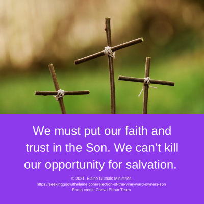 We must put our faith and trust in the Son. We can’t kill our opportunity for salvation.