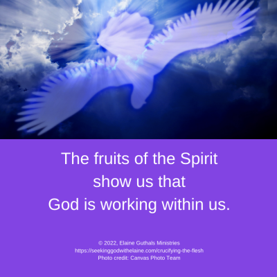 The fruits of the Spirit show us that God is working within us.