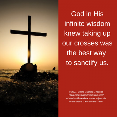 God in His infinite wisdom knew taking up our crosses was the best way to sanctify us.