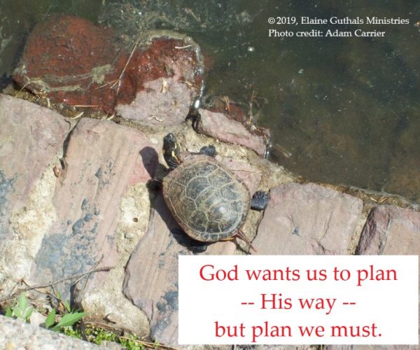 Turtle with caption God wants us to plan -- His way -- but plan we must.
