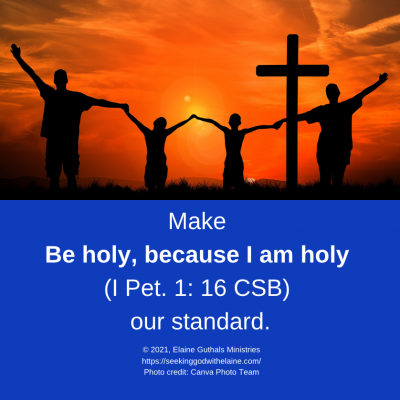 Make Be holy, because I am holy (I Pet. 1: 16 CSB) our standard.