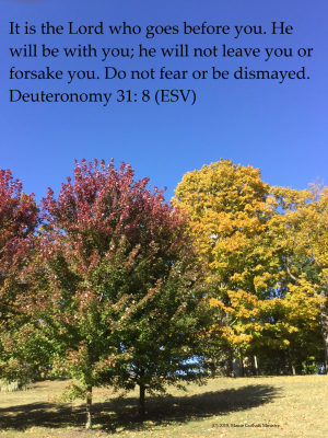 Trees with Deuteronomy 31: 8