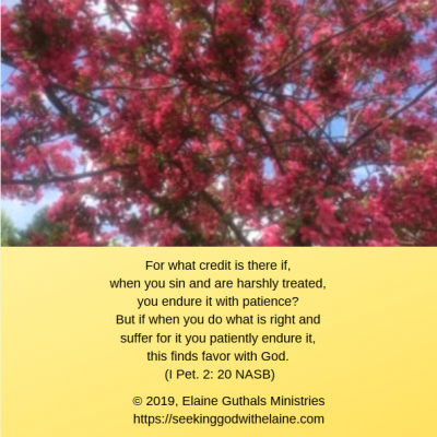 For what credit is there if, when you sin and are harshly treated, you endure it with patience? But if when you do what is right and suffer for it you patiently endure it, this finds favor with God (I Pet. 2: 20 NASB)