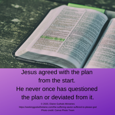 Jesus agreed with the plan from the start. He never once has questioned the plan or deviated from it.