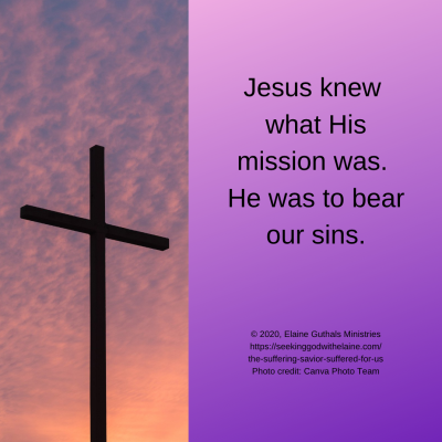 Jesus knew what His mission was. He was to bear our sins.