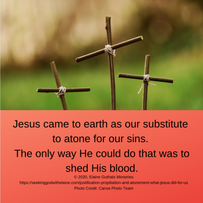 Jesus came to earth as our substitute to atone for our sins.