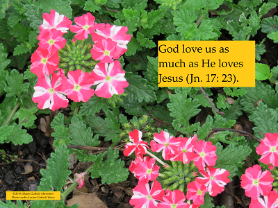 Flowers with caption God loves us as much as He loves Jesus (Jn. 17: 23)