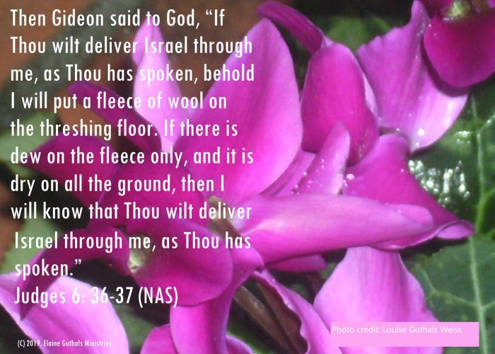 Flowers with Judges 6: 36-37