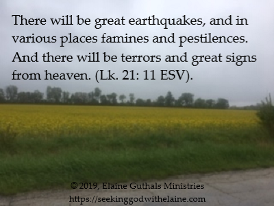 There will be great earthquakes, and in various places famines and pestilences. And there will be terrors and great signs from heaven. (Lk. 21: 11 ESV).