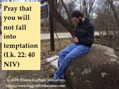 Pray that you will not fall into temptation (Lk. 22: 40 NIV)