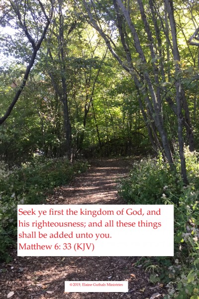 Trees with Matthew 6: 33