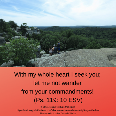 “With my whole heart I seek you; let me not wander from your commandments!” (Ps. 119: 10 ESV).