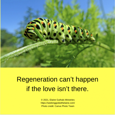 Regeneration can’t happen if the love isn’t there.