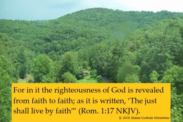 Trees with Romans 1: 17