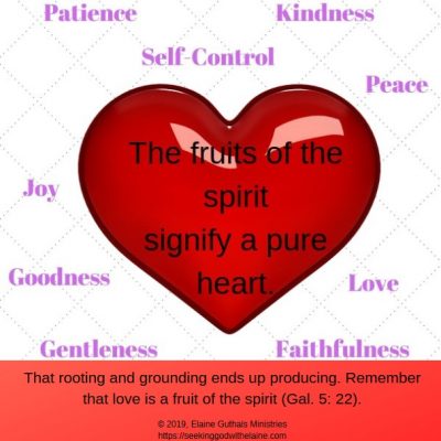 Heart with Fruits of the Spirit