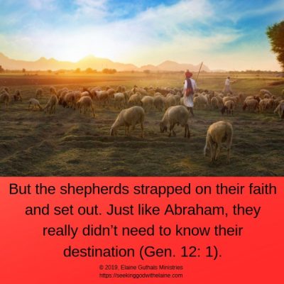 Shepherd