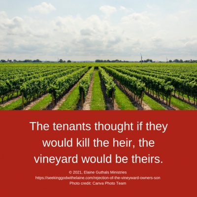 The tenants thought if they would kill the heir, the vineyard would be theirs.