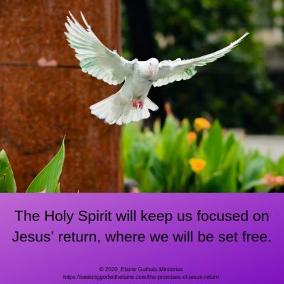 The Holy Spirit will keep us focused on Jesus’ return, where we will be set free.