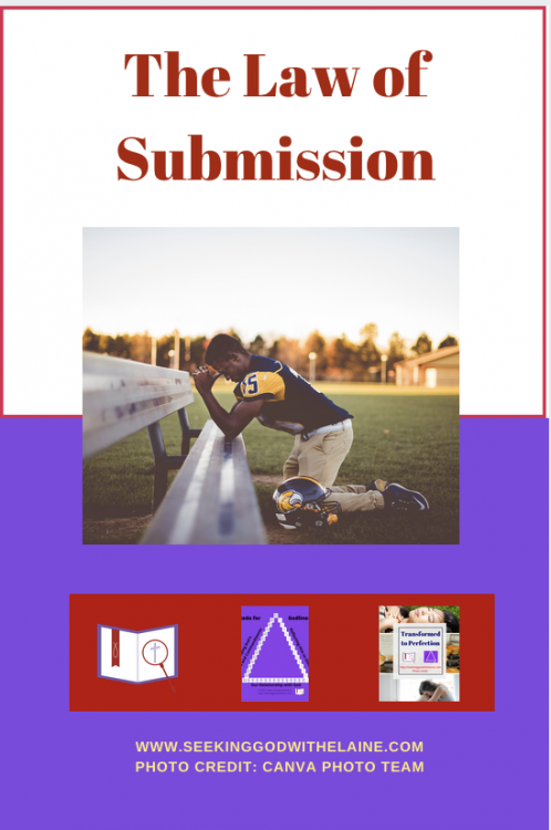TheLawOfSubmissionPin