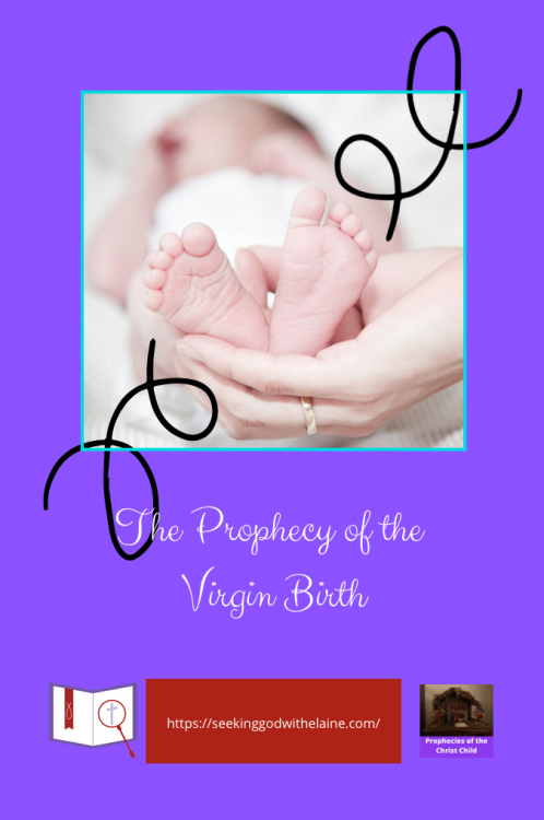 TheProphecyOfTheVirginBirthPin