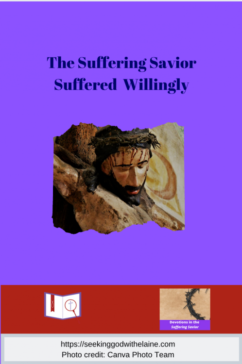 TheSufferingSaviorSufferedWillinglyPin