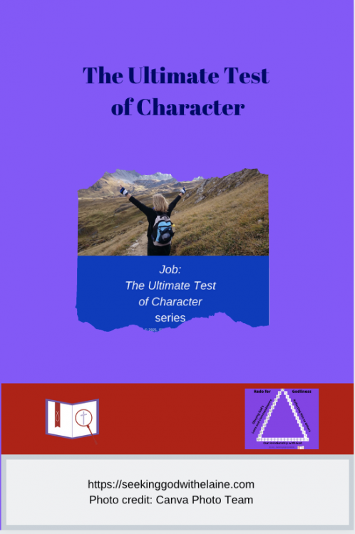 TheUltimateTestOfCharacterPin