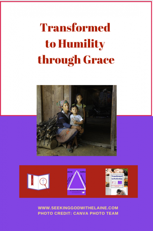 TransformedToHumilityThroughGracePin