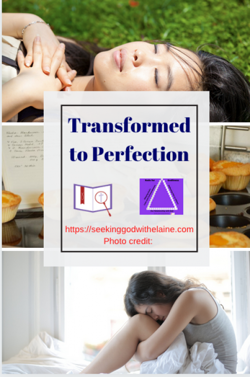 TransformedToPerfectionPin