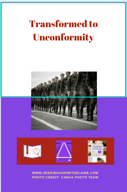 TransformedToUnconformityPin