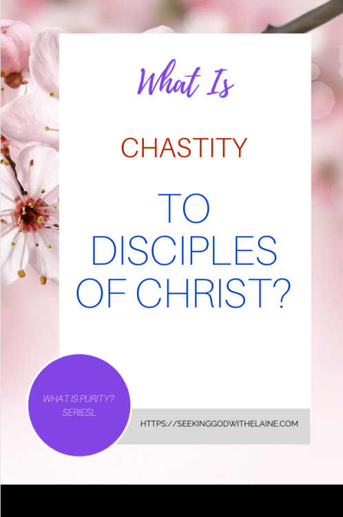 WhatIsChastityToDisciplesOfChristPin