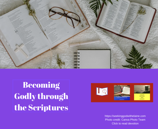 becoming-godly-through-the-scripturesFB