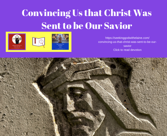 convincing-us-that-christ-was-sent-to-be-our-saviorFB