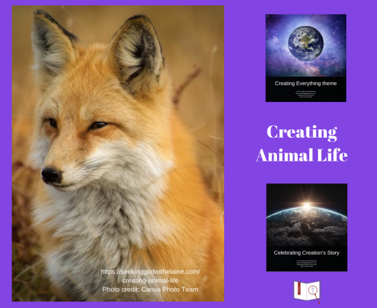 creating-animal-life