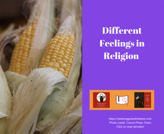 different-feelings-in-religionFB