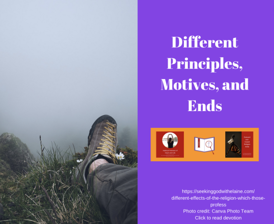 different-principles-motives-and-endsFB