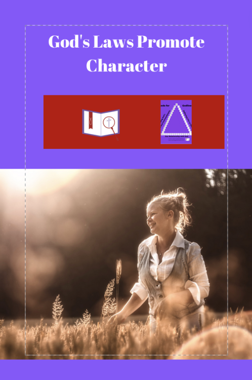 gods-laws-promote-characterPin