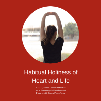 habitual-holiness-of-heart-and-life-theme