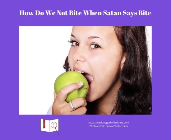 how-do-we-not-bite-when-satan-says-biteFB
