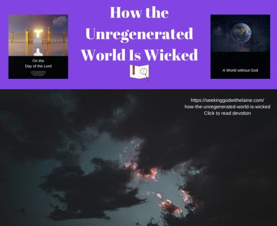 how-the-unregenerated-world-is-wicked